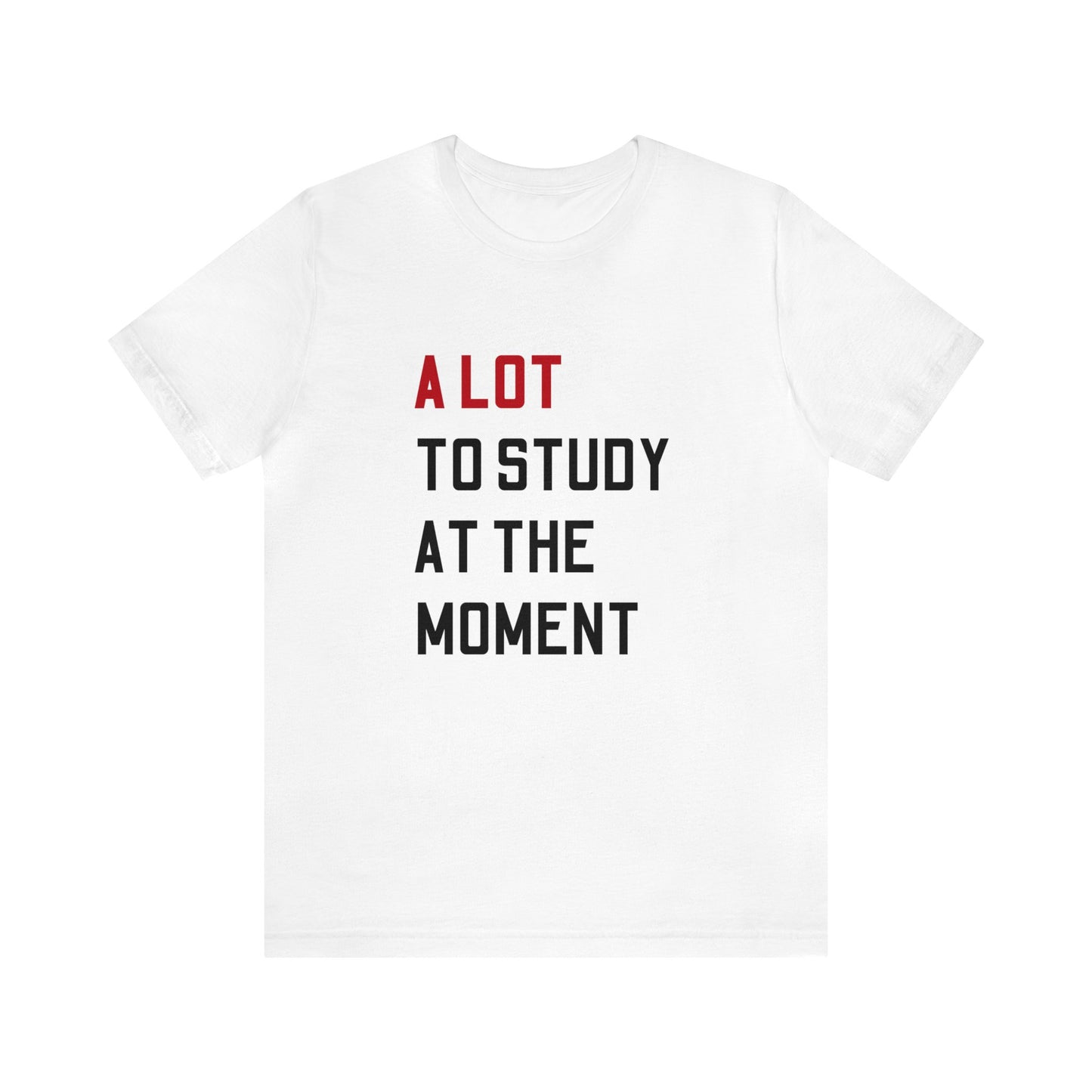 A Lot to Study At the Moment Shirt